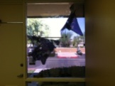 Commercial Window Tint office stripping 2121