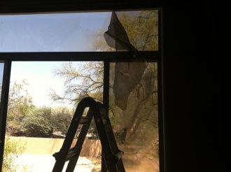 Residential Tint Stripping east window