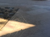 Dog scratches on Home Window Tint
